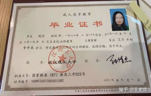 自考 成教 网教 电大学历可以考公务员吗